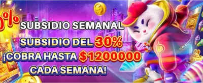 Carga Rápida y Segura